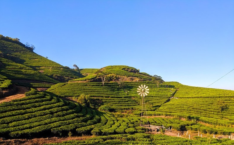 Vagamon  Idukki view